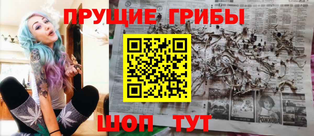 Галлюциногенные грибы прущие грибы  Вход с VPN  Псилоцибиновые грибы Psilocybe  Мурино 