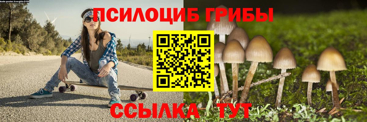 Галлюциногенные грибы Psilocybe Мурино